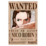 Poster Ricercato Nico Robin