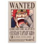 Poster Wanted Captain Kid