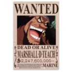 Poster Wanted Marshall D. Teach