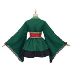 Cosplay Zoro