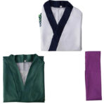 Costume Zoro