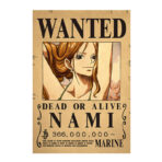 poster wanted one piece