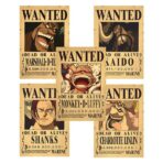 Ricercato One Piece