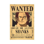Ricercato One Piece
