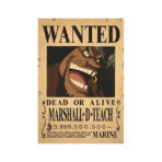 Wanted Luffy Buggy Shanks Marshall D. Teach
